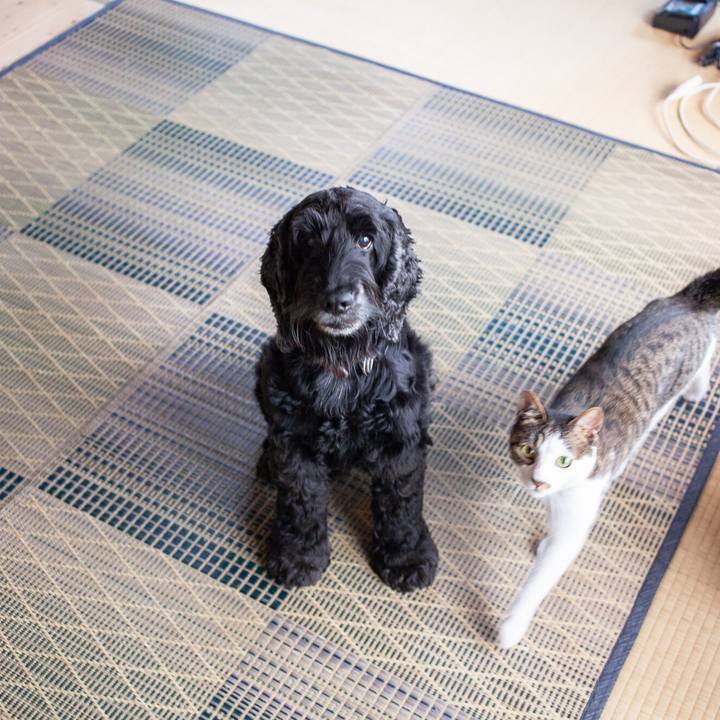 A936857f 0a96 4928 a004 47df09c422d7 1561702715772