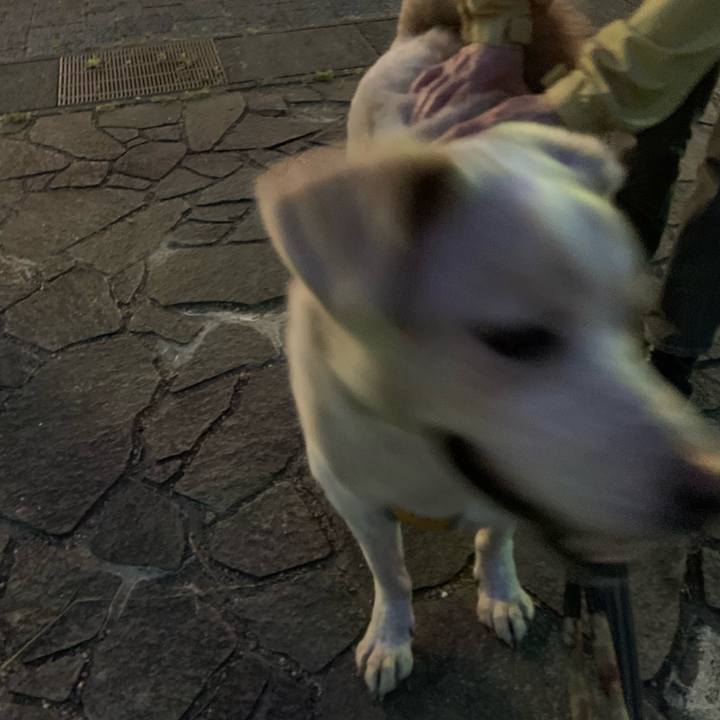 A9368fef 53f5 4bdc a1ab 02b315f74d30 1558016945660