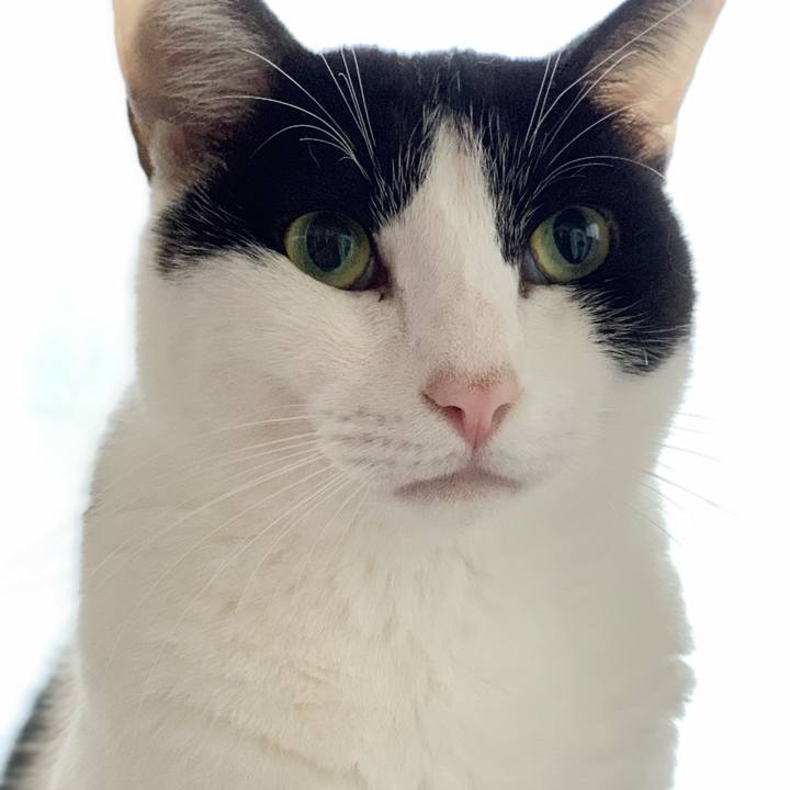 A9369996 f25a 4e7b 88a1 ac9a44587d8f 1545097076287