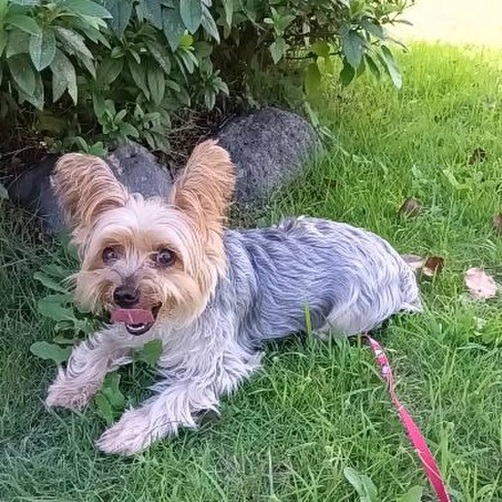 A9369ce8 c377 4508 a8e7 190c743b4053 1759209253163