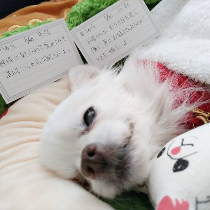 A936f8e0 ad86 4554 93ad 3744b978c2af 1688094586694