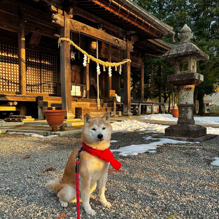 A93763a1 3015 4361 a258 dd0999bdd2d4 1770375187916