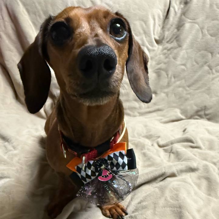 A937a371 497e 4abd 9dfc 332ca42789e1 1759921068384