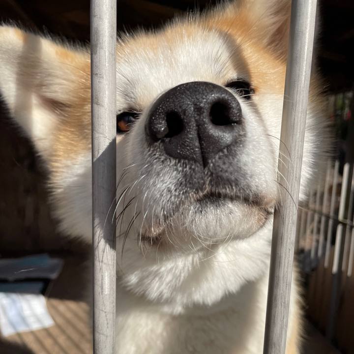 A937b92d cc43 41c6 9a21 08c2e7e4cb83 1672394886525