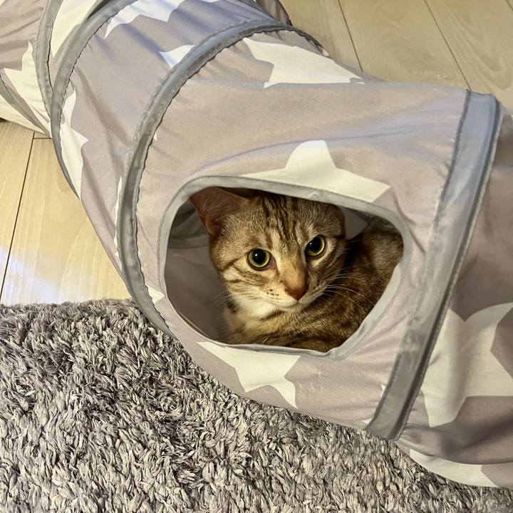 A937d935 9107 444f 9a13 5efa5b775106 1688217979824