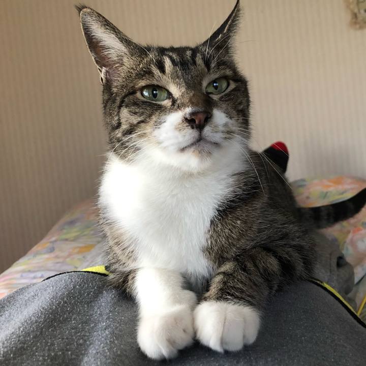 A937f798 bce5 4628 a1ad dfd4fc23fcfe 1555227093758