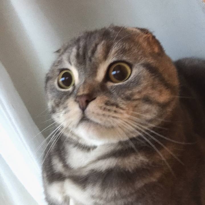 A937fe56 42a6 4e6f a287 ddbe07f86c93 1621603032069