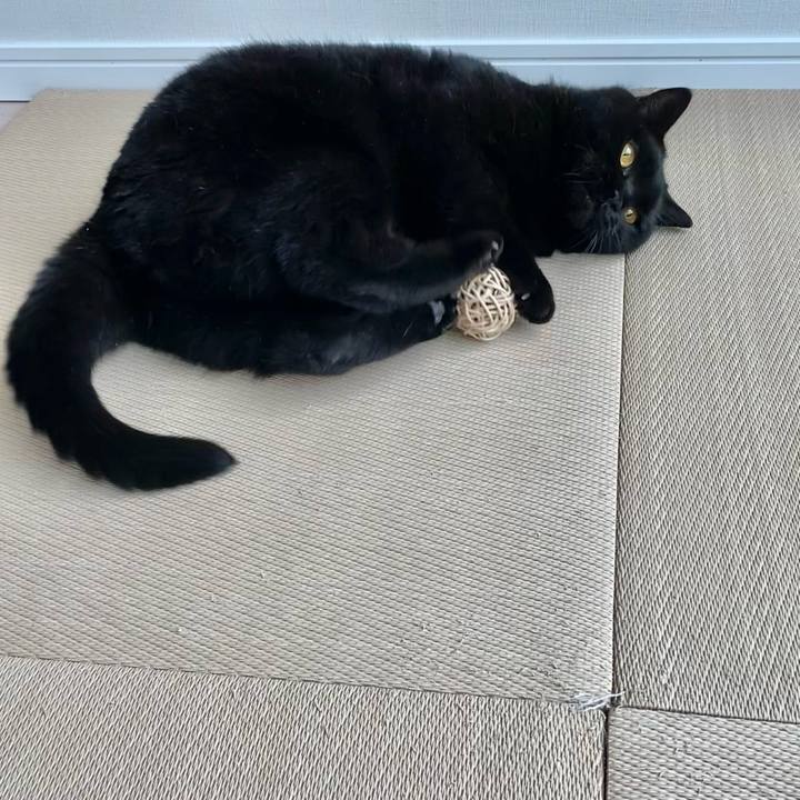 A9388761 a3ce 42b7 b934 e8345fd34125 1662347557569