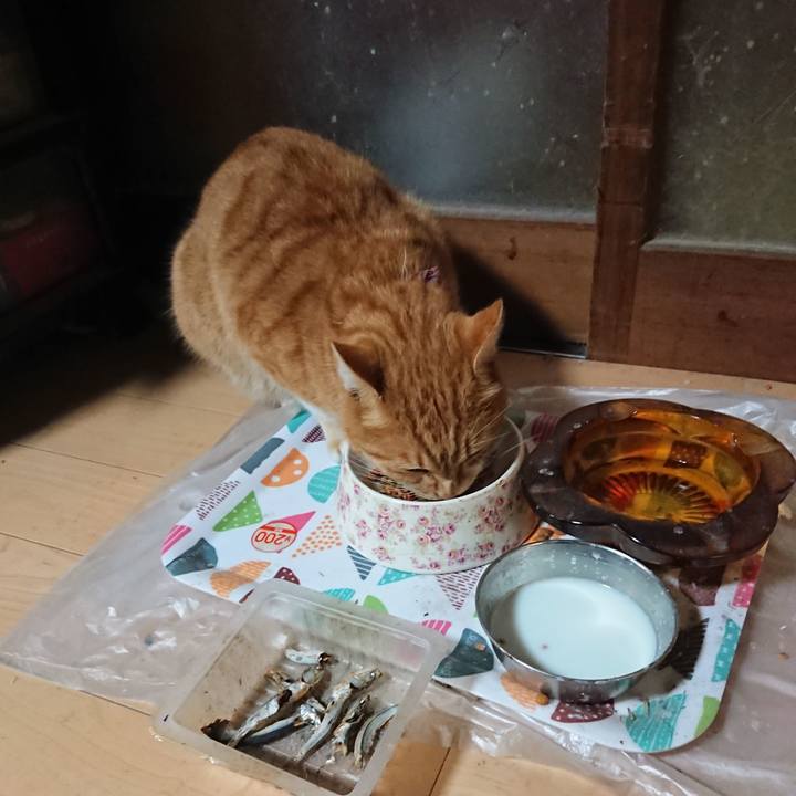 A9388b42 b200 4f77 b024 d43c27188009 1606469802742