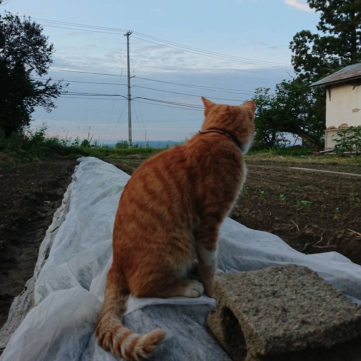 A9389569 5cef 459e 8f26 5e01270e45d3 1567588578378