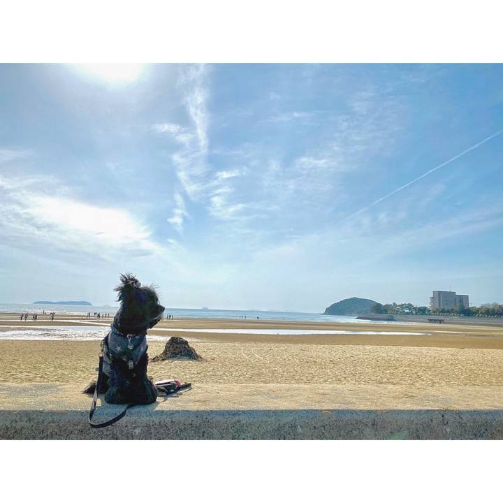 A938b198 b6b1 46dc 886b 4bb1ee965cd0 1584534446876