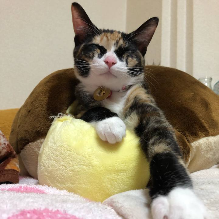 A938b6fa 6f29 4afe a565 a2103fb5ee77 1547471617916