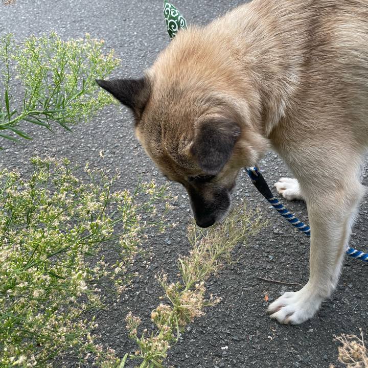 A938bf20 d4f2 4b39 8be0 bb3a65412374 1664800418810