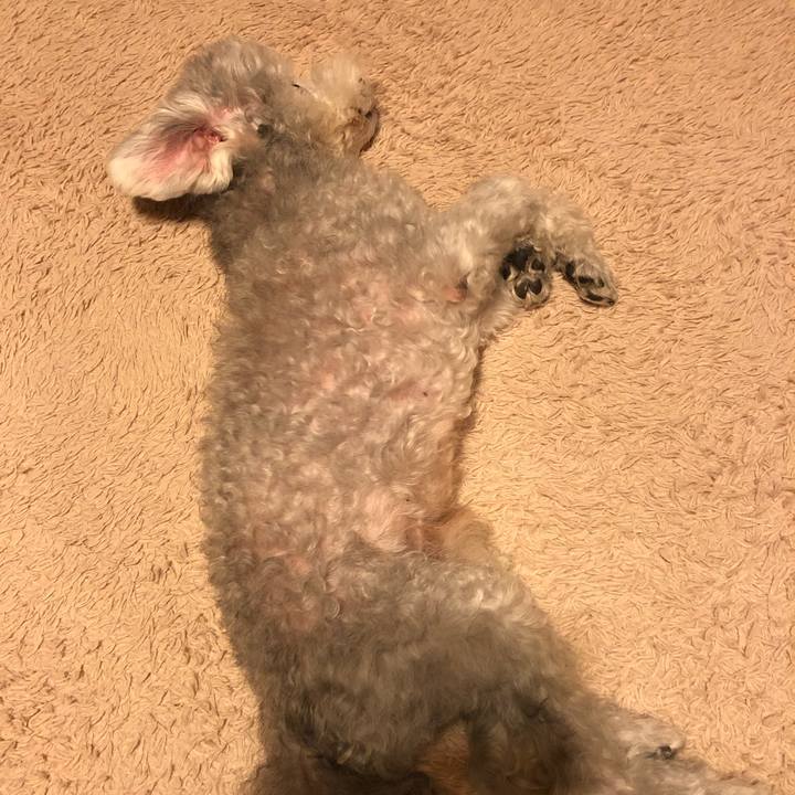 A93900f8 c4c2 48d7 a405 993ba920e8cd 1572525789880