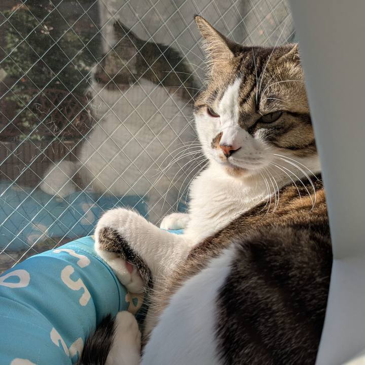 A939132c 63ef 4f0d 8c4d eb23ee7d9d22 1737871316796