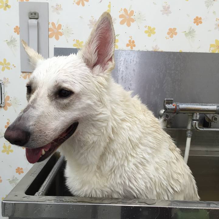 A9392187 3159 44de b6be 34b0181dff5b 1564751302331