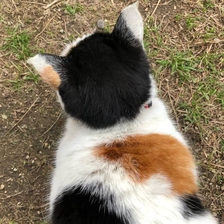 A9394ea0 9597 43ec bcaa ea2bf39d209c 1606647798897