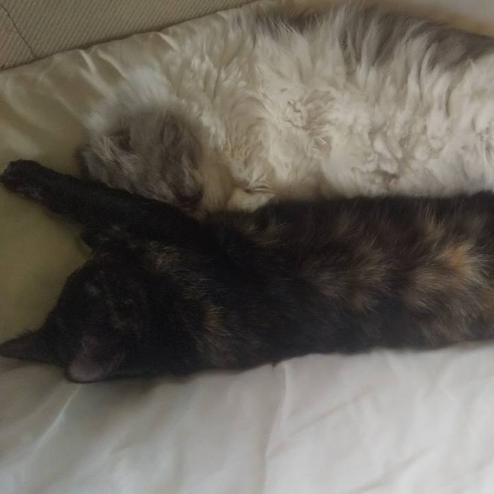 A9395349 fac3 4edc ace2 702d9b2f1475 1731380916065