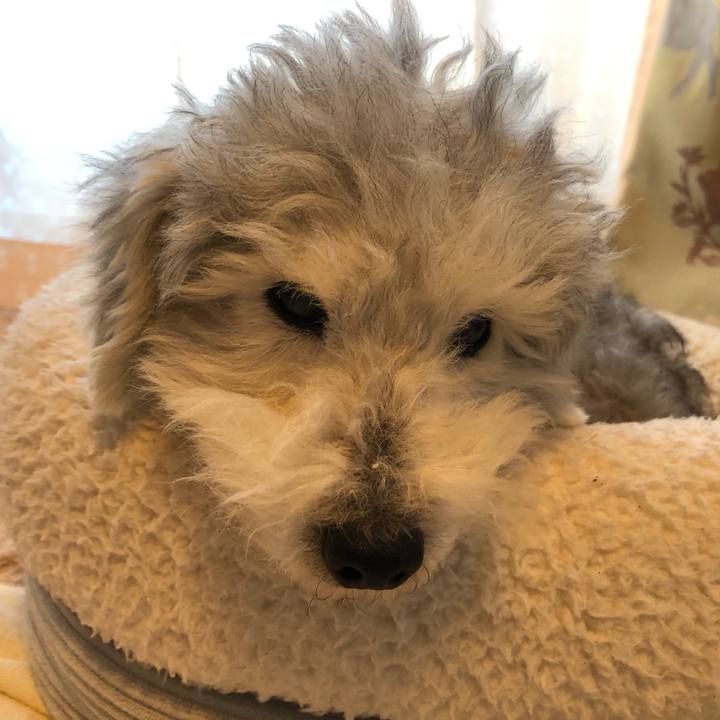 A93956a2 aae7 447f a2e2 5f801e457563 1608161844920