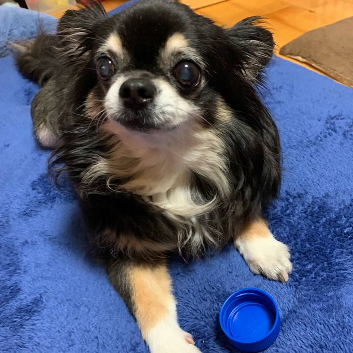 A93991aa 148e 4ba9 9abf 2ed0875a7d90 1562152780068