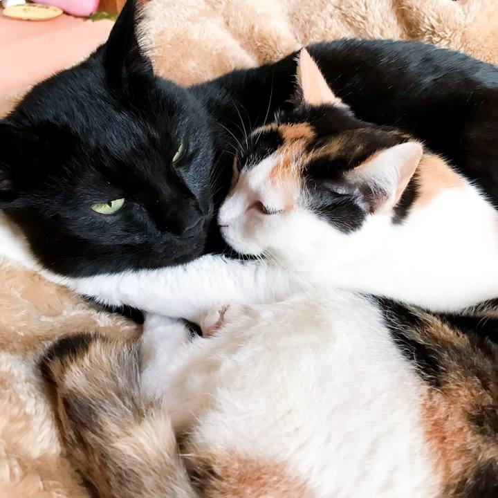 A939a59f 4511 4c9f a166 eb867b06a768 1517663989912