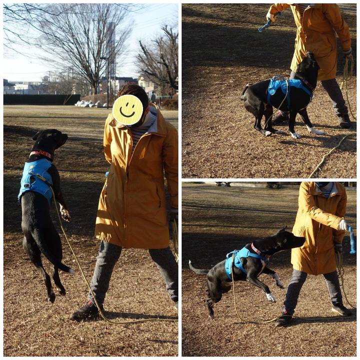 A939e3d0 95cd 4932 b2f3 792c42c21bed 1613868192967