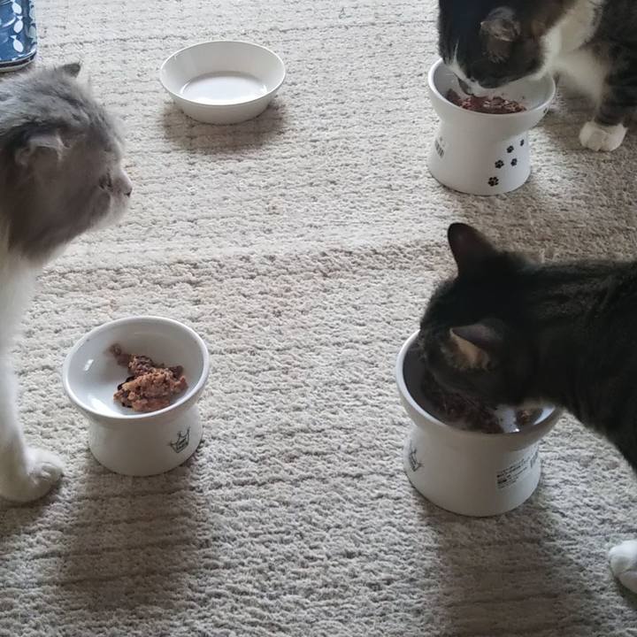 A93a0faf ebd7 4be4 981b 2533edb8c38e 1625017812996