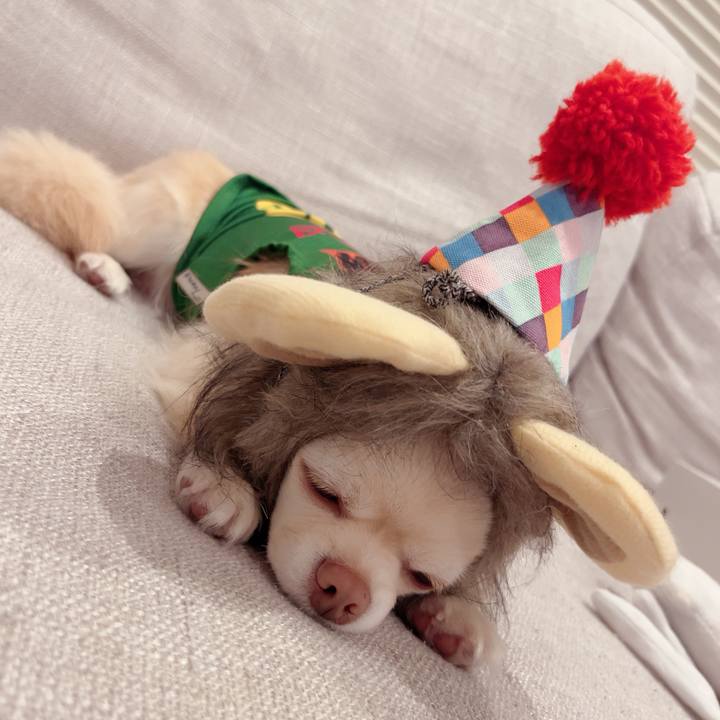 A93a4a7c ad6d 47a9 a3bd f069b99ddaf9 1719820844648