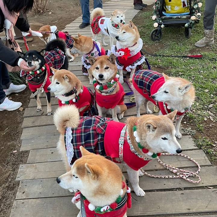 A93a5080 ffeb 4740 aab1 f485dc5db3d0 1703501385468