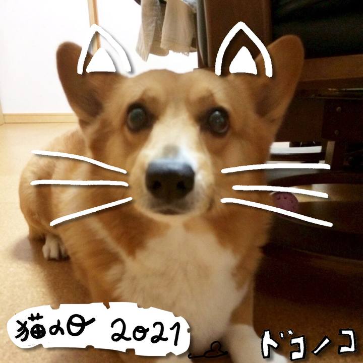 A93a6275 c142 426a 9c29 1b4c043d6476 1613982618229