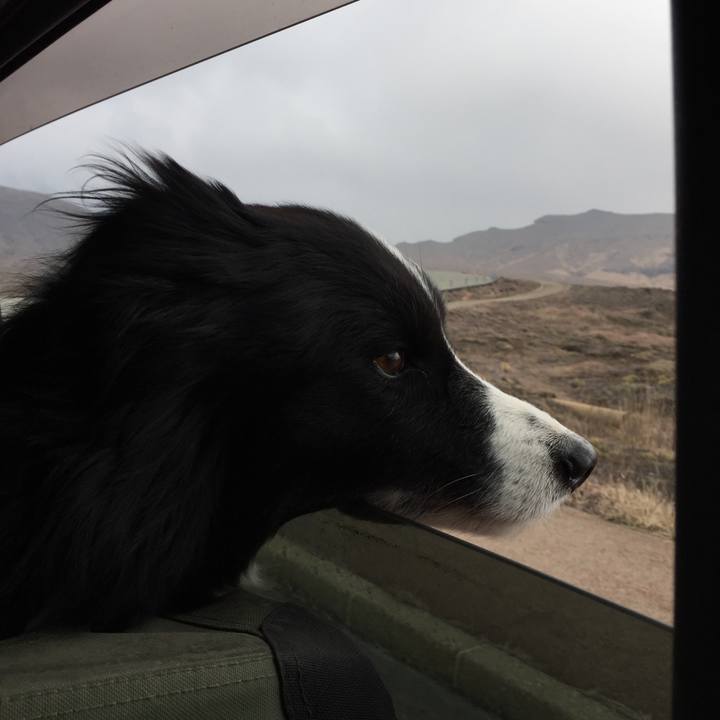 A93a66a8 af9f 4628 aab7 339acf652a71 1553927211667