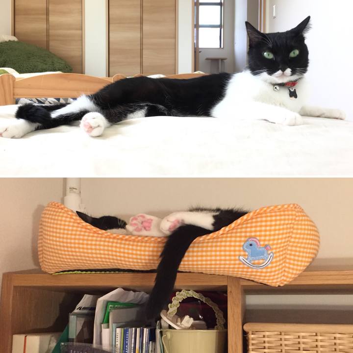 A93a78c0 10c8 49b3 8752 b9291e8f95d2 1538027720759