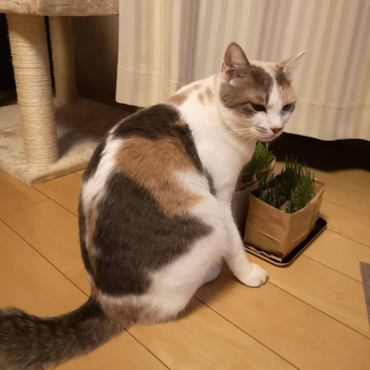 A93ad9c7 d46a 41bf 8593 eb6319daa7e3 1570674554994