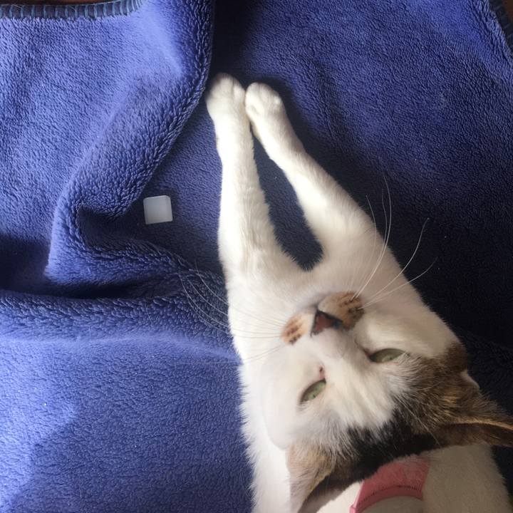 A93b23d3 9d0c 4b0c ae42 f6e231b9ab8a 1620621967929