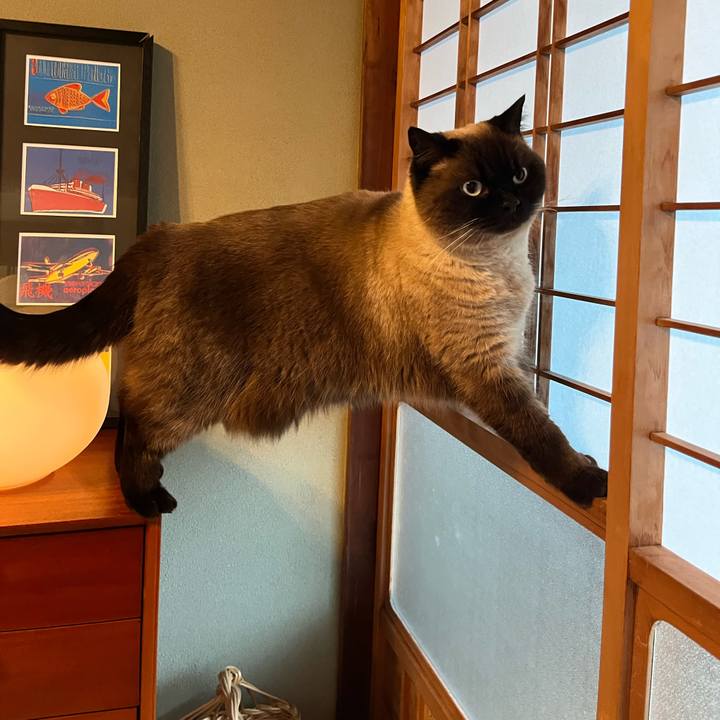 A93b2ba7 cd6b 45ba 94ef 232f9be0515a 1709007589420