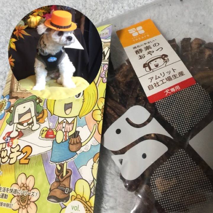 A93b6fc6 2e51 44ff 9f0b 01e0fb11621c 1513250779075