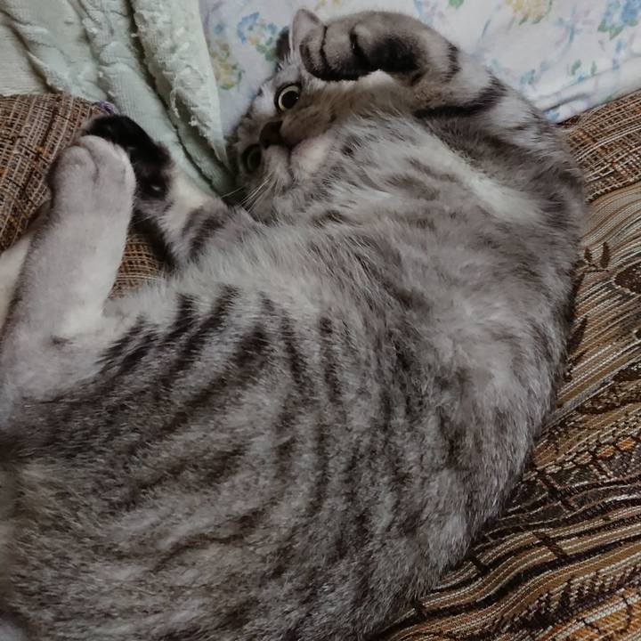 A93b7b78 1a40 46ec 9f50 4f410a0b1197 1565354817958