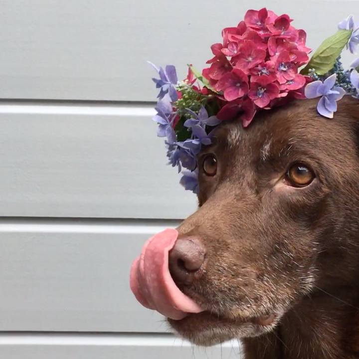 A93bc0f8 1172 4915 a20f b3575ad92641 1758618469998