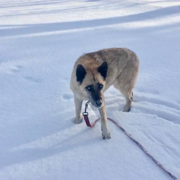 A93bd06b 36e9 4cdc 8c0e 52ba91e9679e 1548648254068