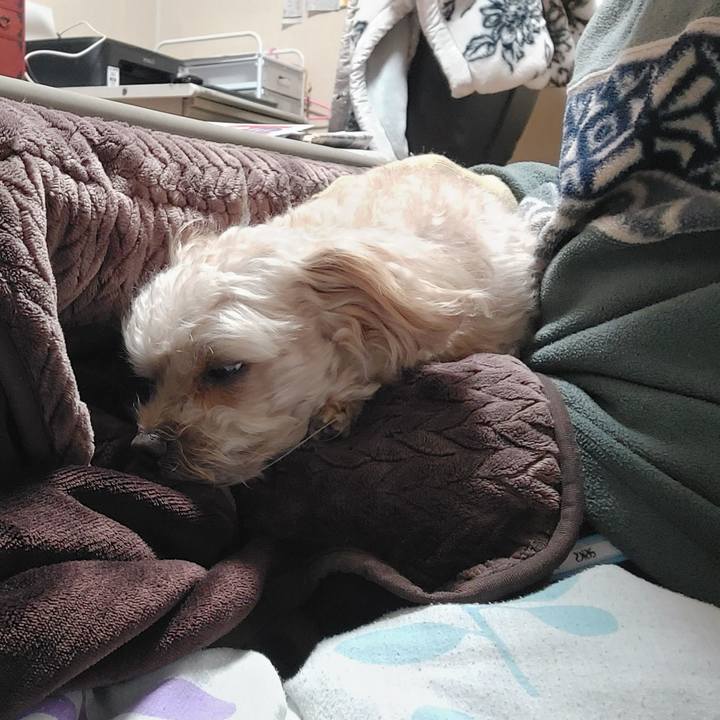 A93bd8a8 fa91 4228 b3b4 5424663f215f 1672447037845