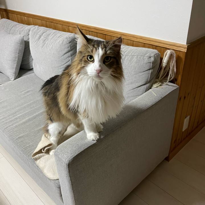 A93bdc22 6922 4a79 908d 1a1cd395014a 1681243194092