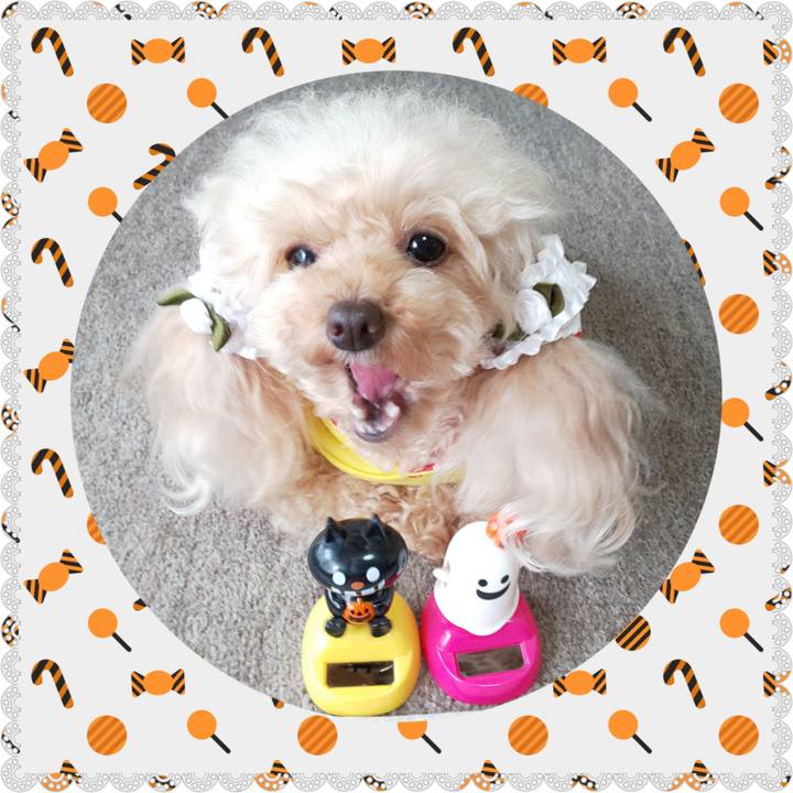 A93be6b6 b513 467f 8c12 3cdb6819b779 1572519274520