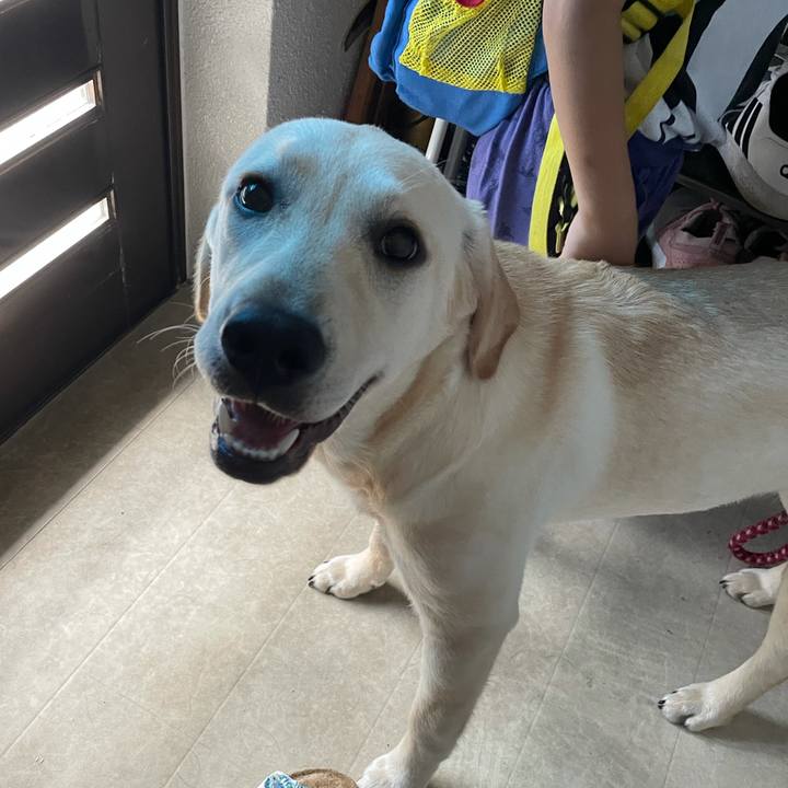 A93c05b9 238a 4128 8fa2 32d384cb367c 1623719127423