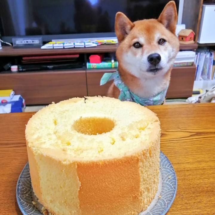 A93c068a 36b9 4b44 a23d aec142dbec85 1624176197591