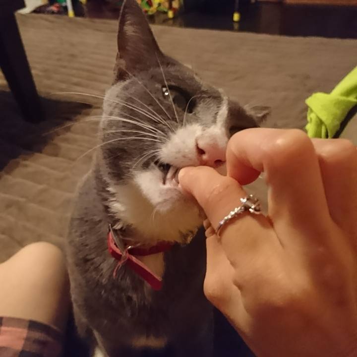 A93c6b4e 2f6c 4bd5 b171 e4bd39838cb5 1507638593661