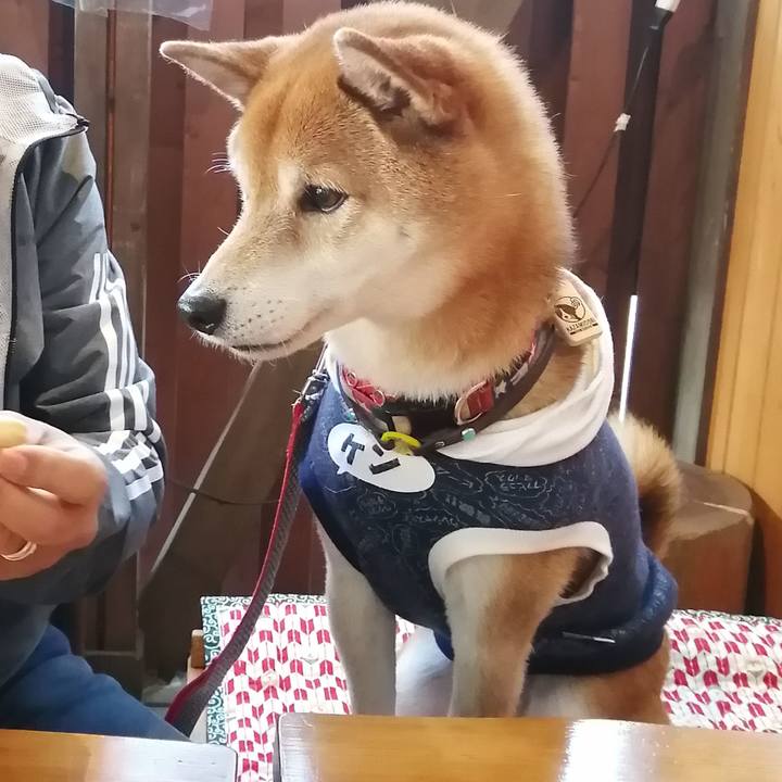 A93c6cf9 b1f3 406c bdb9 7d47e556549c 1674049940756