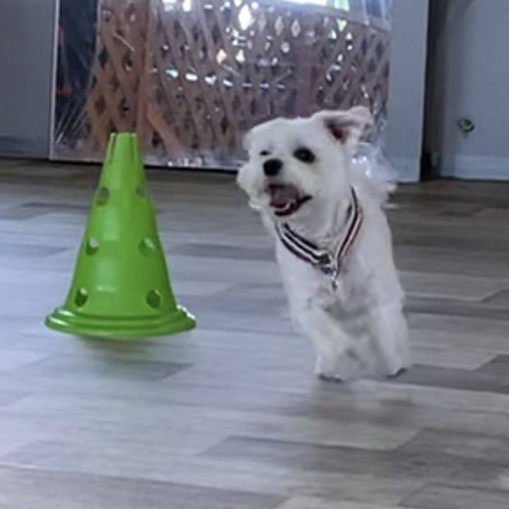 A93c8b28 d937 4baf a227 2ddcdab544a1 1626606659657