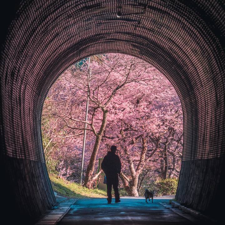 A93c94af cba7 42c5 985a 7dcf0cf33249 1583504999439