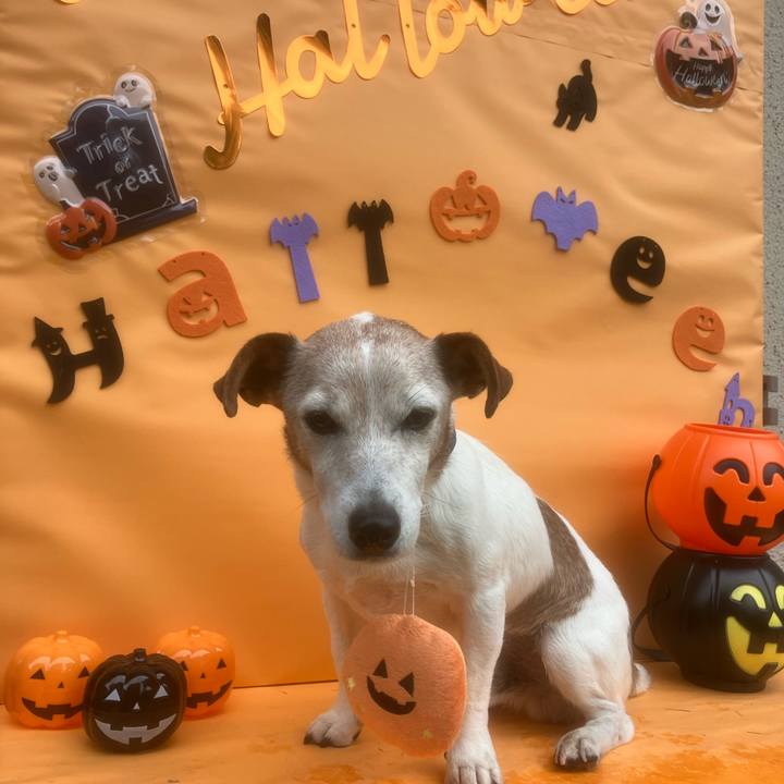 A93caef1 20ed 4e8f a6d9 a85c7b1e5773 1761353370813