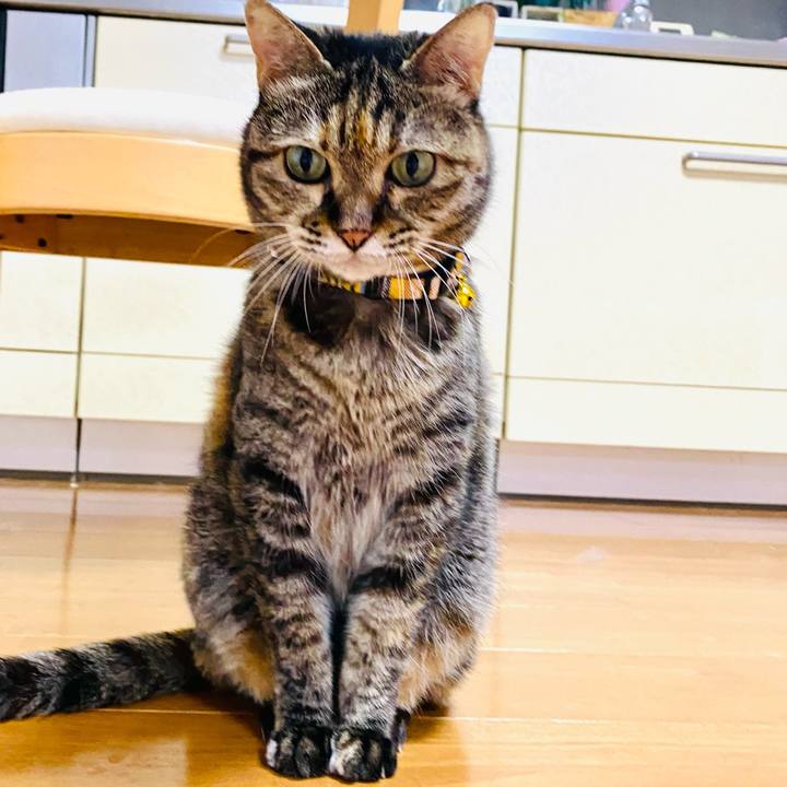 A93cb166 94ab 462c 9cb5 4d7635f0889d 1721563808729